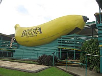 NSW - Coffs Harbour - Big Banana (26 Feb 2010)